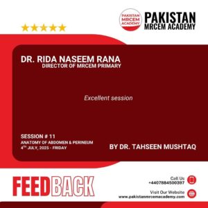 517712295_122135269916801759_5585461840770767511_n